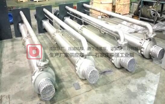 中强RV-SP型立式渗滤液渣浆型号特点使用须知